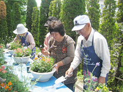 23サロン寄せ植え